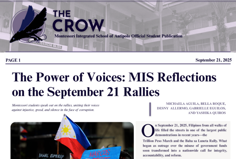 MIS_REFLECTIONS_ON_RALLIES_ARTICLE